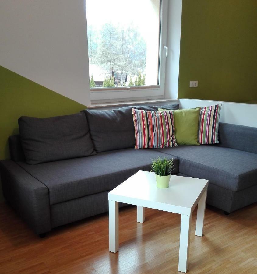 Apartments Grudnik 克拉尼斯卡戈拉 外观 照片
